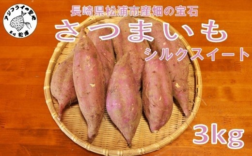 
                  【長崎県松浦市産】畑の宝石 さつまいも(シルクスイート) 3kg ( さつまいも シルクスイート 長崎県松浦市産 長崎県産 )【A7-081】
                