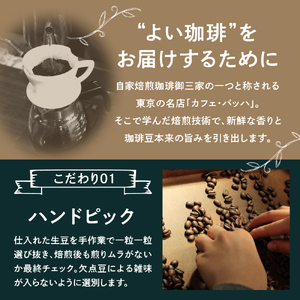 ドリップコーヒー【7通りの香り、7通りのしあわせ】7days Drip Selection(2WEEK SET) 7種類×各2袋 計14袋 自家焙煎珈琲 カフェグート