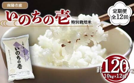 【金賞受賞農家】 《定期便12回》 令和7年産 特別栽培米 いのちの壱 計10kg(5kg×2袋)×12か月 『あおきライスファーム』 山形南陽産 米 白米 精米 ご飯 山形県 南陽市 [2670]