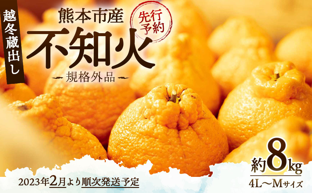 熊本市産 越冬蔵出し不知火(規格外品) 約8kg(4L-Ｍサイズ) 