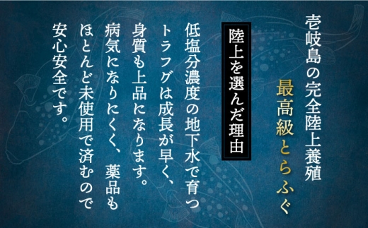 【2026年12月配送】とらふぐ 鍋セット（3〜4人前）《壱岐市》【なかはら】[JDT001] ふぐ フグ 河豚 とらふぐ トラフグ 鍋 ふぐ鍋 フグ鍋 とらふぐ鍋 トラフグ鍋 てっちり 海鮮鍋 魚介