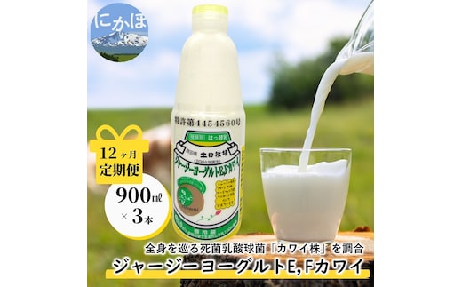 
										
										毎月お届け！ジャージー ヨーグルト(E・Fカワイ)900ml×3本 12ヶ月定期便(飲む ヨーグルト)
									