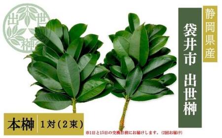 榊 出世榊 本榊 純国産 1日・15日交換用 榊【1対(2束)】