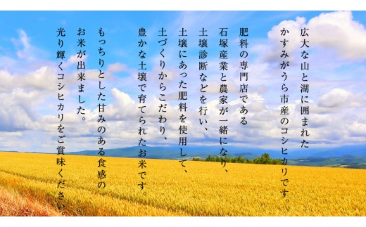 【 3ヶ月 定期便 】【 令和7年産 】 コシヒカリ 精米 5kg × 3回 ( 合計 15kg )（茨城県共通返礼品かすみがうら市）米 もっちり 甘い 銘柄米 [EX017sa] 【3回定期便】5k