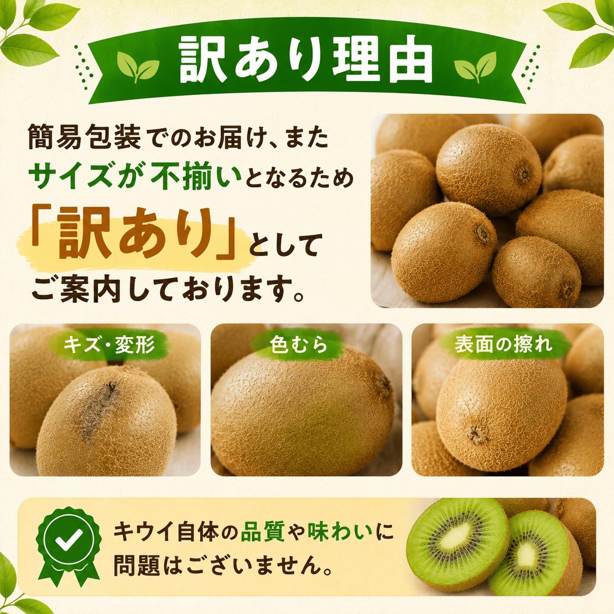 訳あり キウイフルーツ 9~12玉 1kg きうい キウイ フルーツ 果物 くだもの お取り寄せ 人気 おすすめ 徳島県 送料無料 徳島青果