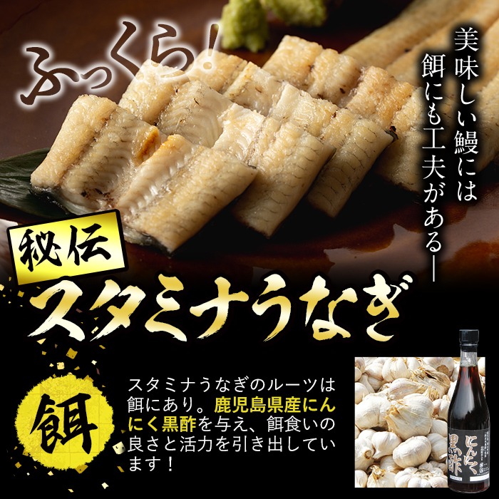 【訳あり】鹿児島県産！秘伝の特上スタミナうなぎ白焼き＜計600g以上／4尾以上＞肝吸いセット！ c1-014