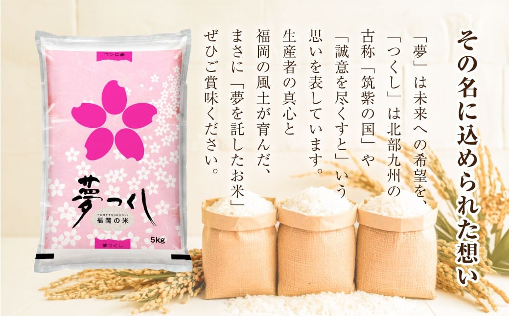 【令和7年産】 福岡県産 夢つくし 精米 5kg ／ ゆめつくし お米 米 白米 ご飯 ブランド米 九州 福岡県 岡垣町