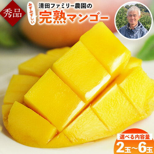 【ふるさと納税】くまもと 完熟 マンゴー 2玉(約800g) 2-3玉(約1kg-1.2kg) 5-6玉(約2kg~2.4kg) 熊本県 玉名 郡 玉東 町 清田ファミリー農園 秀品 フルーツ【日付指定不可】《5月下旬-8月末頃出荷》