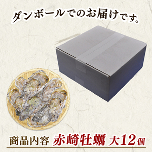 殻付き牡蠣 12個 カンカン焼きのおかわり 加熱用