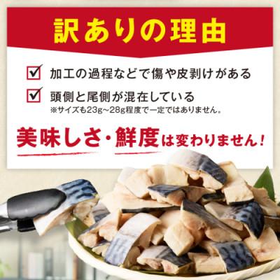 ふるさと納税 京丹後市 【訳あり】魚屋の味付け骨取り塩サバお手軽112切れ |  | 02