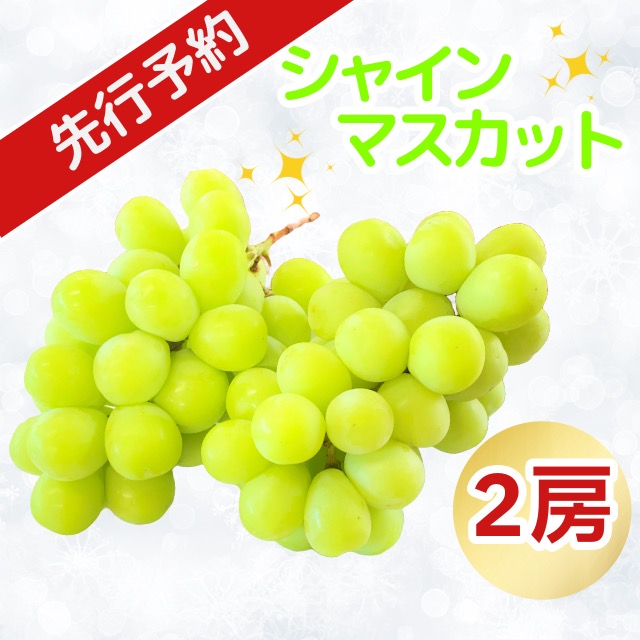 【先行予約】シャインマスカット（2房）(7-A21)