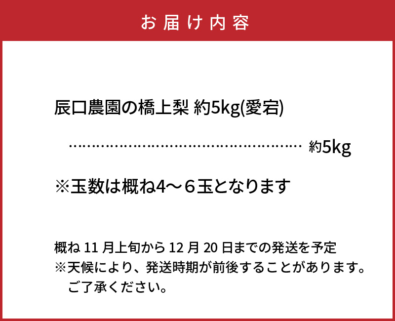 【先行予約】令和8年発送 /辰口農園の橋上梨約5kg(品種:愛宕)_1303R