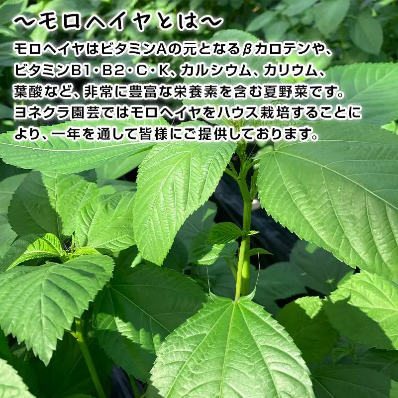 ハウスモロヘイヤ 100g×10袋 ネバネバ 高栄養価（βカロテン/各種ビタミン/カルシウム/カリウム/葉酸など)