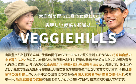 [2-269]　北海道当別町産化学農薬不使用ミニトマト：甘っ子 雅 3kg
