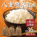 【ふるさと納税】【6回定期便】東御市産令和6年産八重原米6kg×6回 お米 コシヒカリ白米 美味しい 甘い ギフト お中元 お歳暮 自宅用 家庭用 国産 長野県東御市