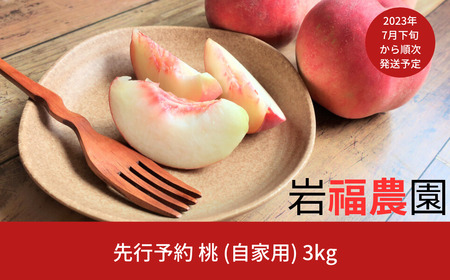 先行予約 新潟県産 桃 自家用 5kg [岩福農園] 【010P043】