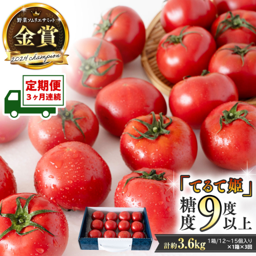 《 2027年 収穫分 》全3回 定期便 スーパーフルーツトマト てるて姫 中箱 約1.2kg×1箱×3回 糖度9度以上 先行予約 定期便 3ヶ月 茨城県 桜川市 KEK 国産 トマト フルーツトマト ブランドトマト 野菜 ギフト 贈答 青空レストラン アド街ック天国 グッドモーニング 黄金のワンスプーン 昼めし旅 [BC051sa]