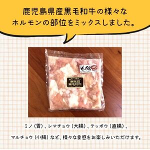 鹿児島県産黒毛和牛ホルモンミックス2パック【配送不可地域：離島】【1185869】