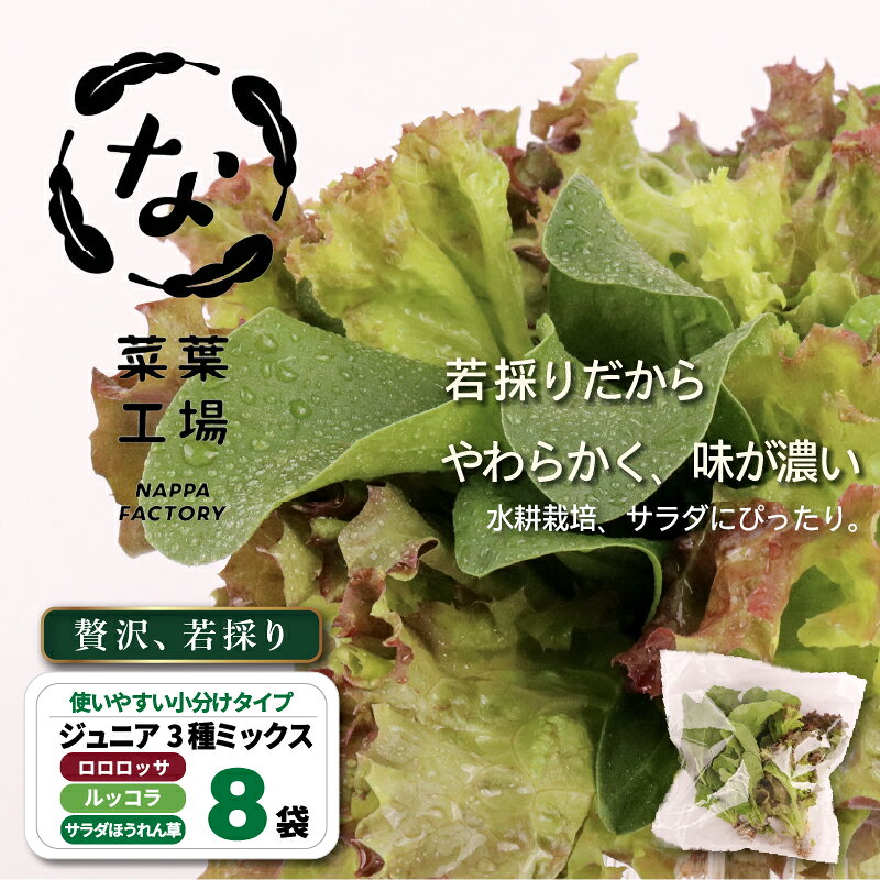 【ふるさと納税】 葉野菜 若採り サラダ ルッコラ ジュニア | ベビー ほうれんそう ホウレンソウ 水菜 ミズナ 生食 野菜 セット 新鮮 健康 人気 おすすめ 高知県 南国市