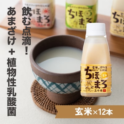 乳酸菌入りあまざけ 玄米味12本セット