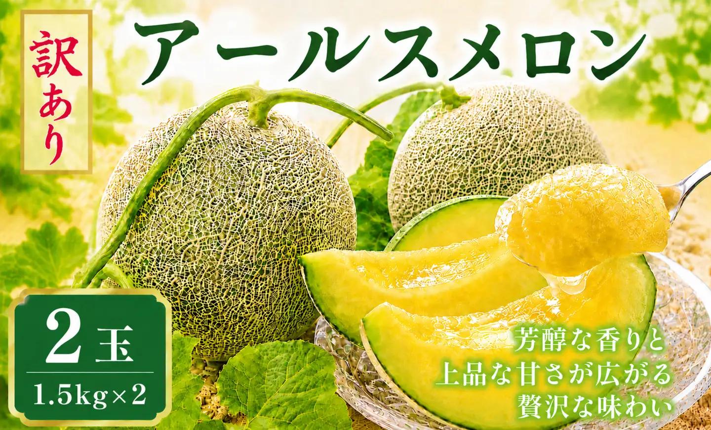 【訳あり】アールスメロン（家庭用） 2玉入 青肉品種 不揃メロン！ ／ アールスメロン 果物 フルーツ ギフト 農家直送 nga025