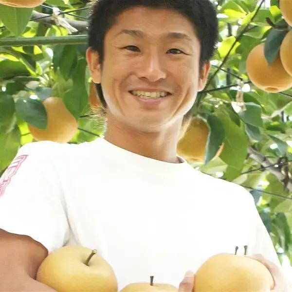 先行予約 あきづき 約5kg 令和8年 和梨 新潟県 想樹