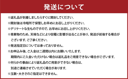 【 2か月定期便 】 熊本 デコポン 定期便 （ 3月 ・ 4月発送 ） 果物 フルーツ 果実 果汁 果肉 国産 柑橘 冷蔵 定期 定期配送 旬 旬の果物