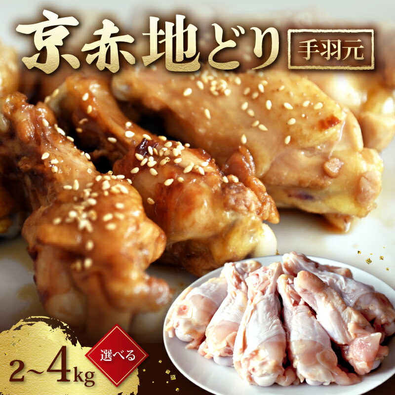 【ふるさと納税】 京赤地どり 手羽元 選べる 2kg 3kg 4kg ( 京都府産 国産 地どり 地鶏 鶏肉 鳥肉 とりにく お肉 肉 チキン 手羽元 鶏 鳥 精肉 小分パック 簡単 お手軽 おつまみ 便利 冷凍 取り寄せ ギフト グルメ 贈り物 京都府 京都 京丹波町 9000円 10000円 以下 以内)