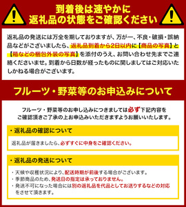 ＜先行予約！2026年7月上旬以降順次発送予定＞種ごと食べられる自根すいか中玉(2玉・計約7～8kg) 国産 果物 スイカ セット 【man370】【はざま篠原農産合同会社】