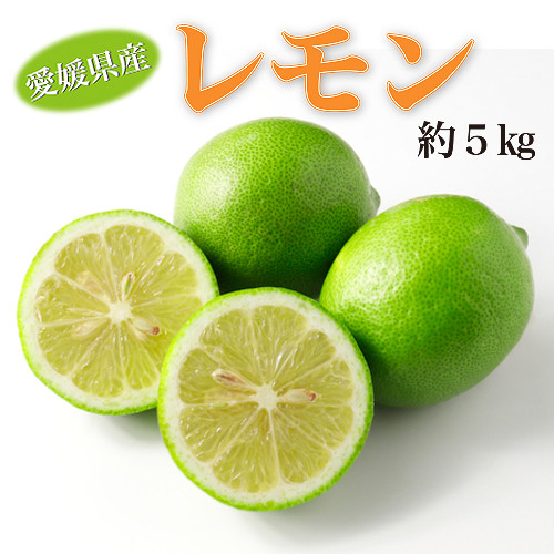 
                  【2025年12月から発送】愛媛県産レモン約5kg  秀 L～M サイズ（約35～43 個）【高島屋選定品】フルーツ 果物 レモン 柑橘 レモネード レモンシロップ 大容量
                