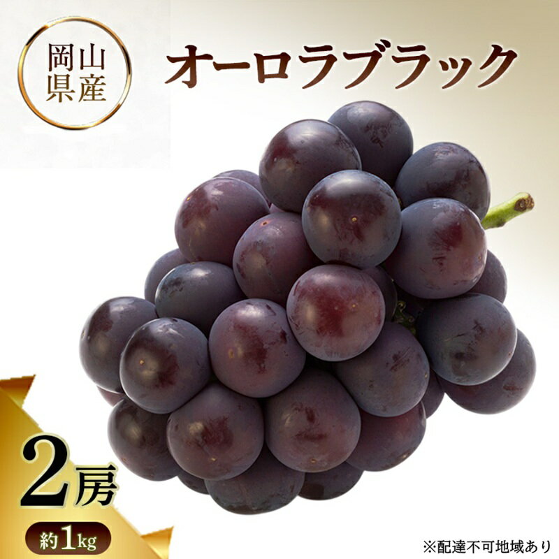 【ふるさと納税】オーロラブラック 岡山県産 約1kg(2房) 果物 フルーツ ぶどう ブドウ 葡萄 国産 岡山　お届け：2026年9月1日～2026年10月31日