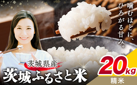 米20kg おこめ白米【茨城県共通返礼品】