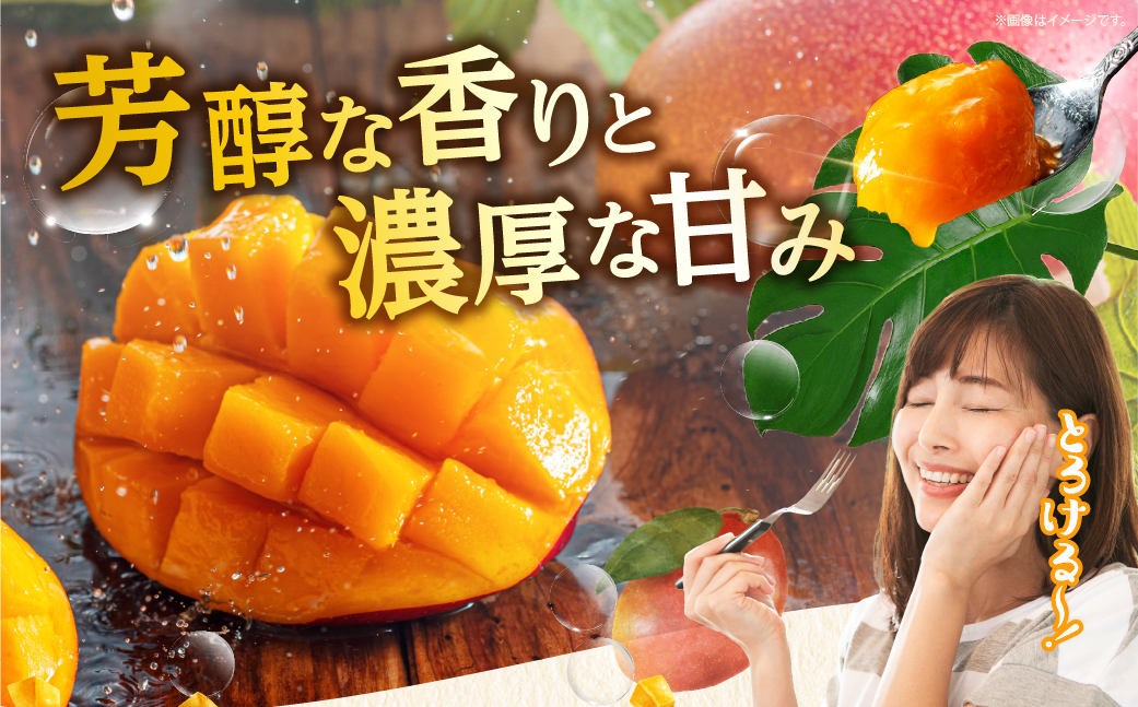 完熟マンゴー2L×2玉（パック）【JA綾町】_A0114-1021
