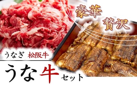 【数量限定】豪華！松阪牛と鰻の贅沢うな牛セット うなぎ うなぎ【2-140】