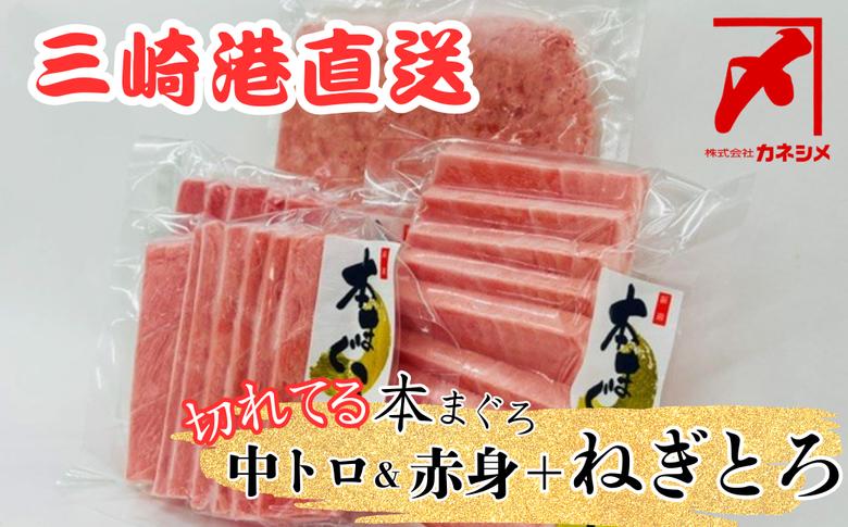 
B19-013 三崎マグロ卸問屋カネシメの本鮪中トロ・赤身切れてるお刺身セット＋目鉢鮪ネギトロ
