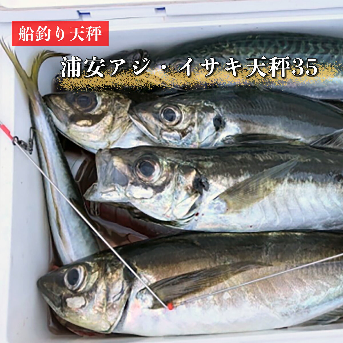 【ふるさと納税】船釣り天秤(浦安アジ・イサキ35)2本セット| フィッシング 釣り アウトドア 釣り餌 船釣り 天秤 アジ イサキ 釣り アジ釣り 船釣り天秤 浦安アジ・イサキ35 海釣り 工房浦安 埼玉県 草加市