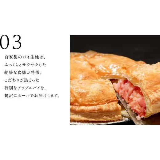 アップルパイ （ ホール 直径 20ｃｍ ） 自家製 ケーキ [BL001tu]