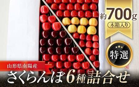【令和8年産先行予約】 さくらんぼ 6種詰合せ 約700g (特選 木箱入り) 《令和8年6月中旬～発送》 『最上園』 さくらんぼ サクランボ 特選 6種 詰合せ 山形県 南陽市 [680]