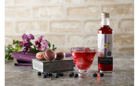 【全3回定期便】のむ酢・酢パークリング詰め合わせ定期便 