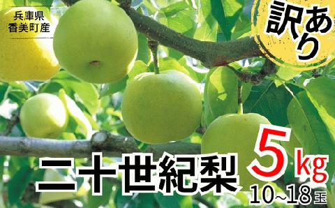 12-20  訳あり 梨 20世紀梨 5kg（10～18玉）サイズバラつき有り（L～5L）9/9が最終受付です