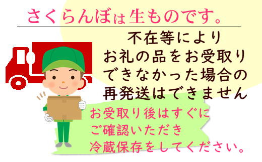 8-028-005　サトケンさんのさくらんぼ 佐藤錦（2L）600g