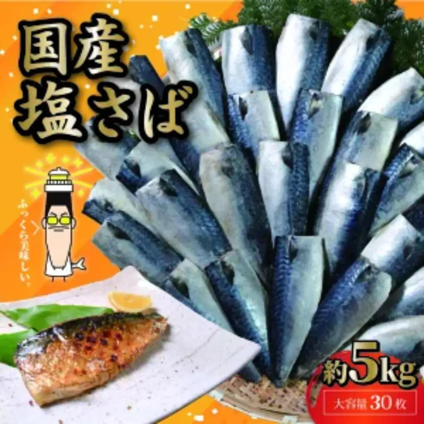 国産 塩鯖 30枚 鯖
