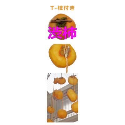 ふるさと納税 紀美野町 吊るし柿用 生渋柿 ひもセット【T字軸枝付or吊るしクリップ付】約9~12果、1.5~2kg入り箱 |  | 01
