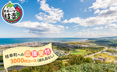 返礼品なし 北海道枝幸町 寄附のみの応援受付【3,000円コース】