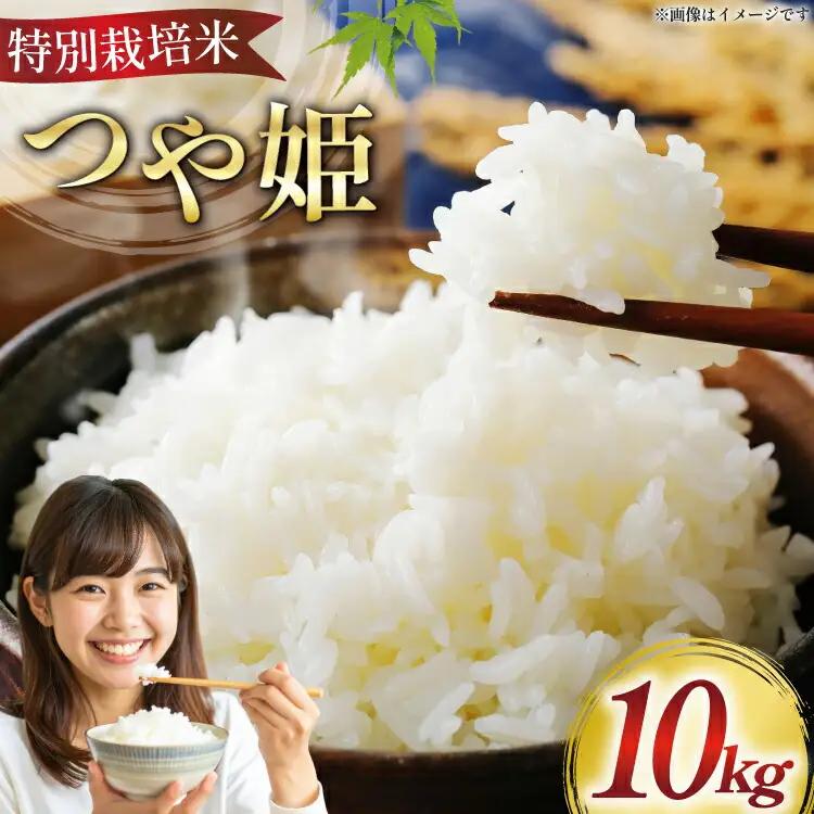 米 令和7年 特別栽培米 つや姫 10kg [はまえん 山形県 高畠町 tk06ayt030005]