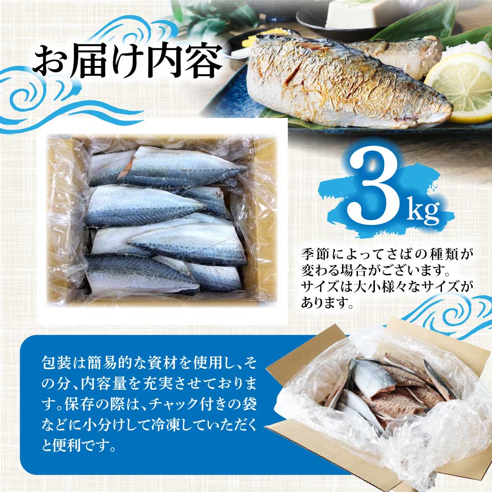 R7.7月中旬～順次発送 塩サバ 3kg 約18枚 さば 鯖 味付き 魚介 海鮮 魚 おかず お弁当 ご飯 食品 保存食 簡単 国産 冷凍 配送【R01426】