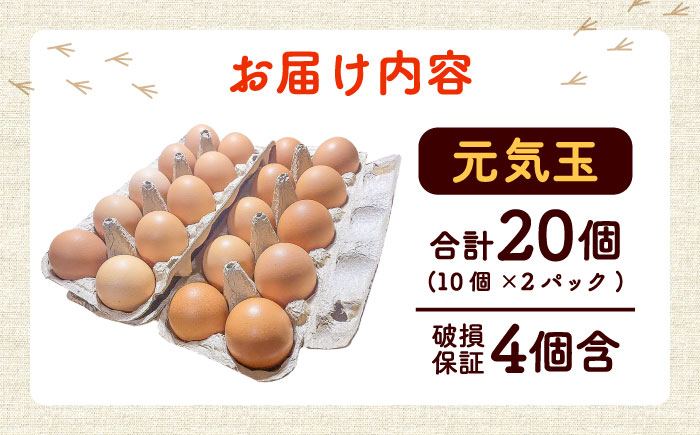 平飼い新鮮たまご　元気玉 計20個(10個×2パック) / 卵 ぷりぷり 新鮮 玉子 オムレツ たまごかけごはん 朝食 鶏卵 タンパク質 平飼い 濃厚 こく 熊本県 菊陽町【ぴよっこファーム】 [BH