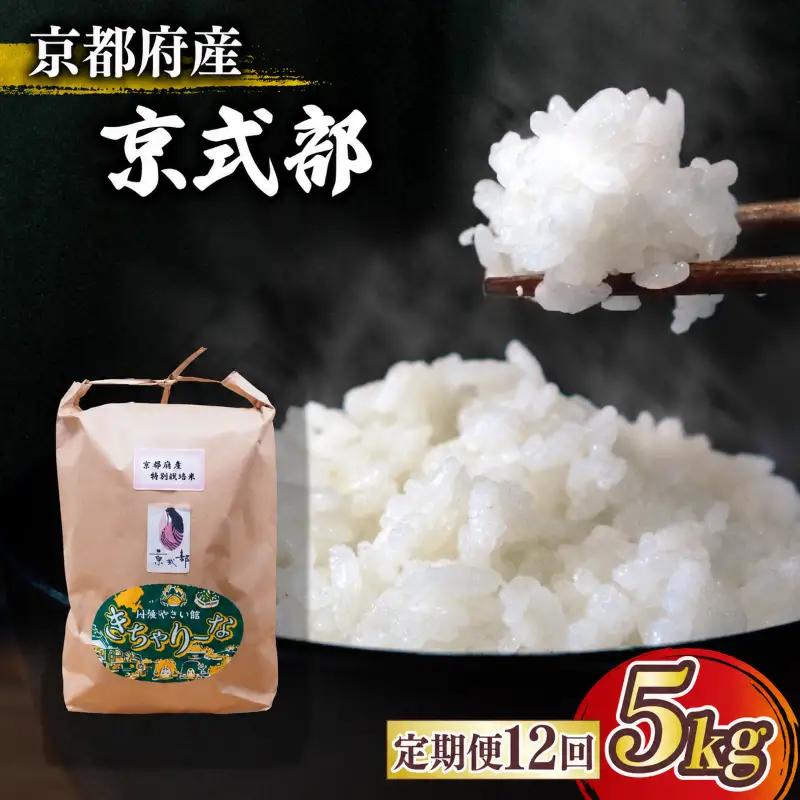 【令和8年産】新米 定期便 京都府産米 京式部 5kg 12回定期便 ブランド米 京都