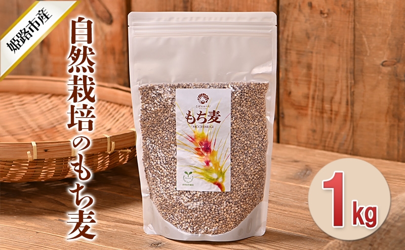 
            [№5258-0928]自然栽培のもち麦（ダイシモチ）1kg お米 
          