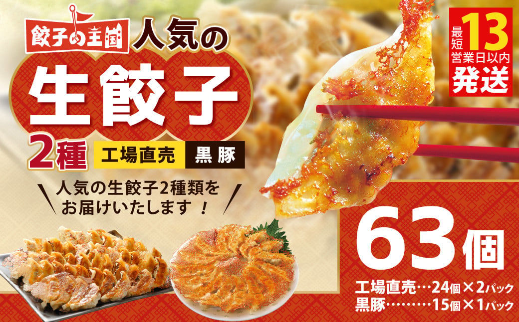 
                  餃子の王国 人気の生餃子 2種 63個 黒豚 生餃子 餃子 ぎょうざ 豚肉 冷凍 国産 熊本 セット
                